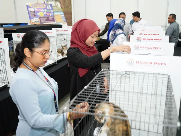 PROGRAM KUCING ANGKAT MPS 2025