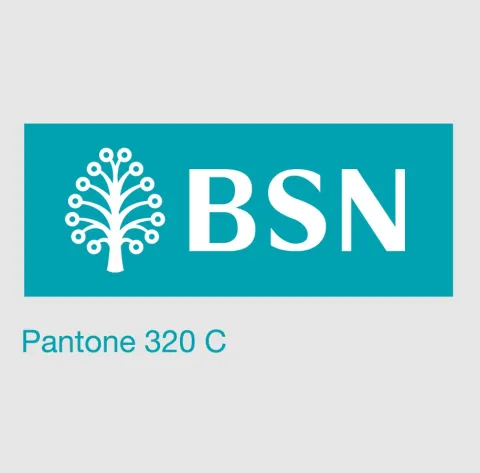 LOGO BSN
